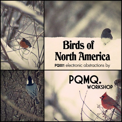 Buy PQMQ Birds of North America